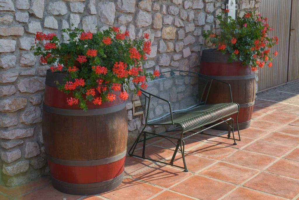 Agriturismo Kogoj Medea Kültér fotó